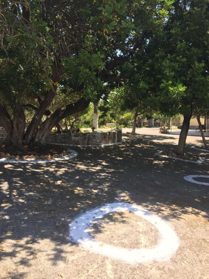 克拉尼 Αγρόκτημα Χελωναριά - Agroktima Chelonaria旅舍 外观 照片