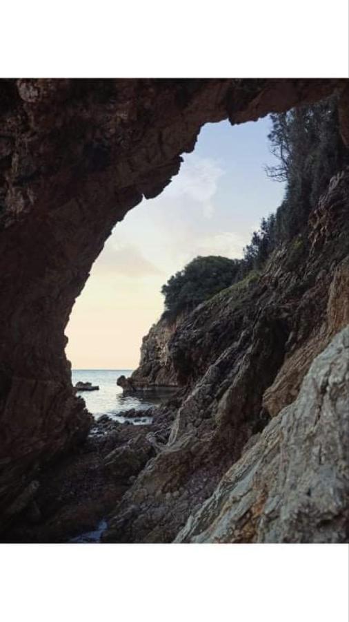 克拉尼 Αγρόκτημα Χελωναριά - Agroktima Chelonaria旅舍 外观 照片