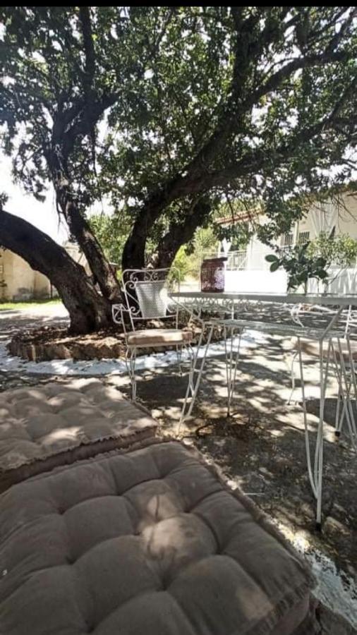 克拉尼 Αγρόκτημα Χελωναριά - Agroktima Chelonaria旅舍 外观 照片